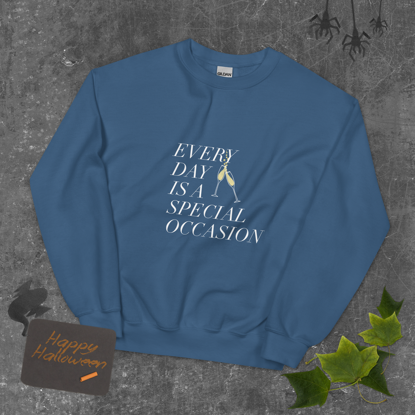 Every Day is a Special occasion with Champagne Sweatshirt