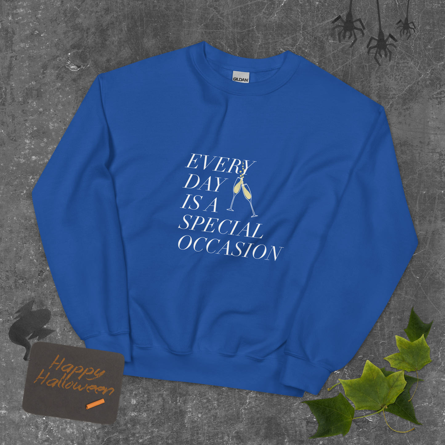 Every Day is a Special occasion with Champagne Sweatshirt